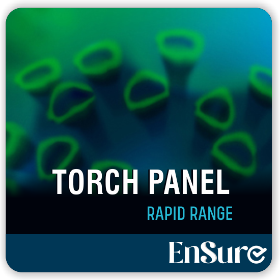 torch-panel-rapid-range-img